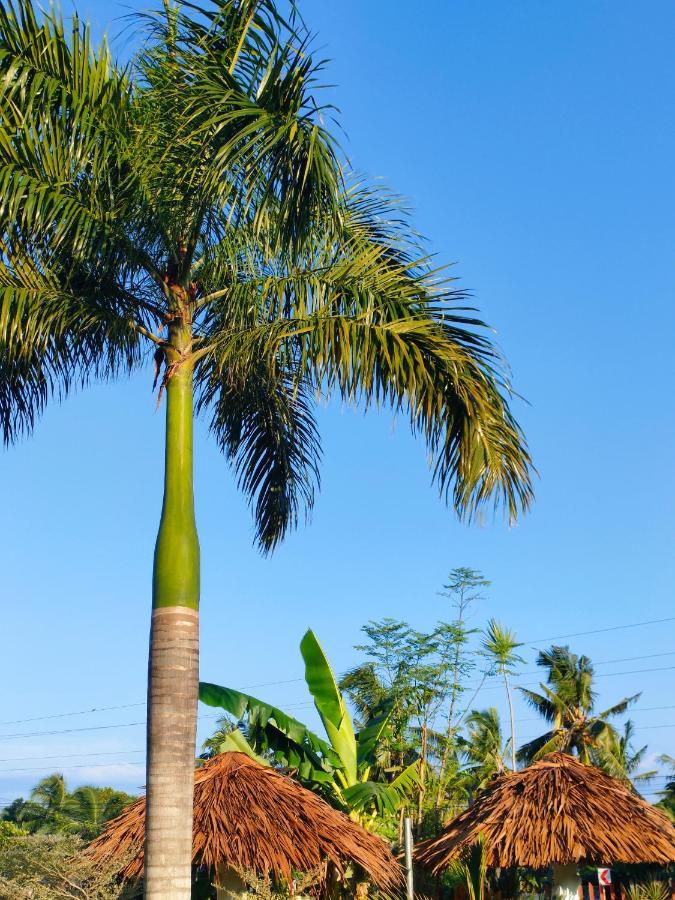 Guest house Mariella's Siquijor